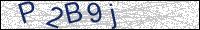 Verify Security Code